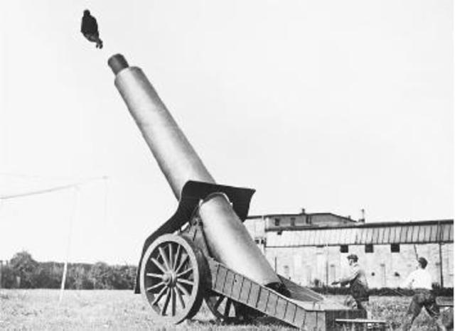 Expulsion of Jesuits