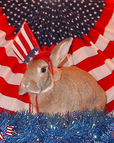 Russian casualtes reached 2 million people