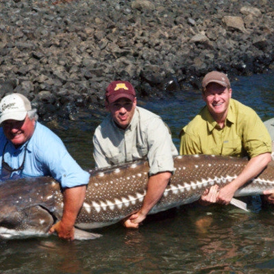 Timeline: Family Fun