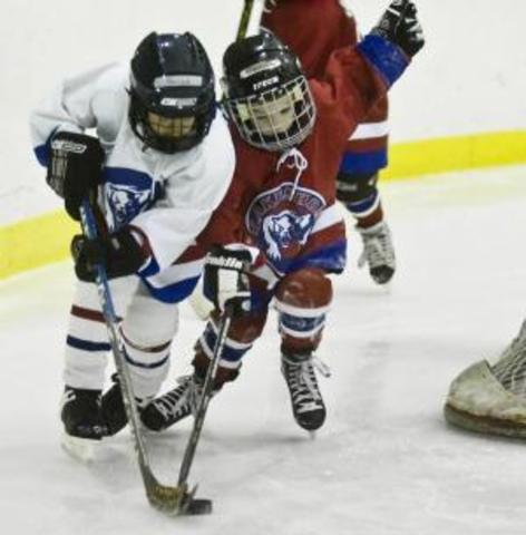 My First Hockey Game