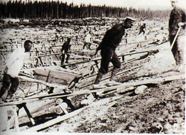 Collectivisation des terres en URSS