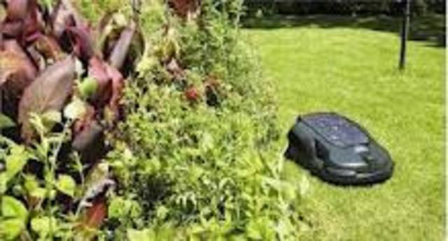 The Robotic mower