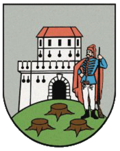 Slobodni Kraljevski grad