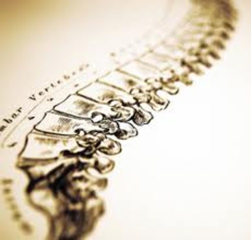 1st orthopedic instute