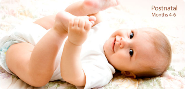 5th & 6th month development