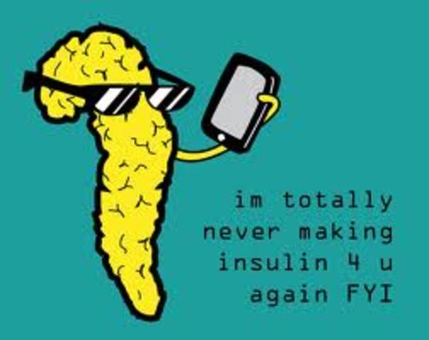 Pancreas and Diabetes