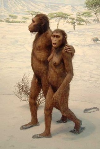 Homininos