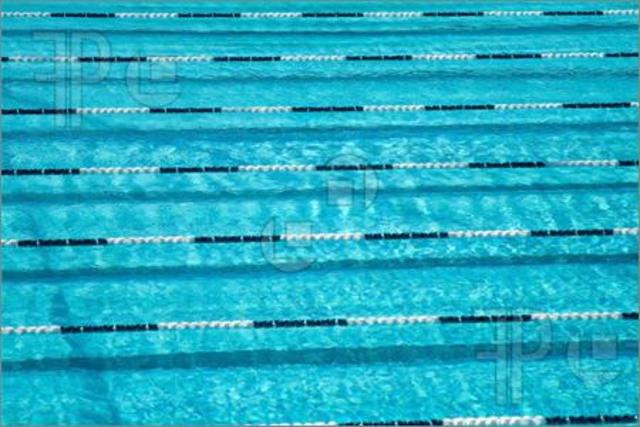 First Swim Competition