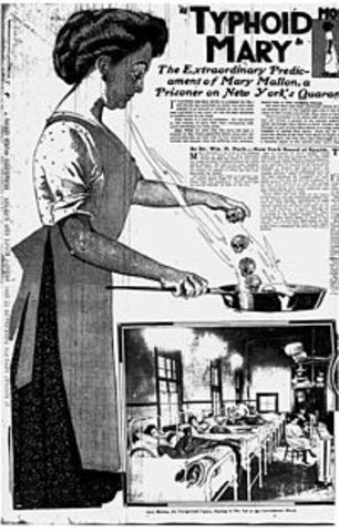 vaccine for typhoid fever