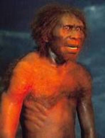 Australopitecinos (monos del sur)