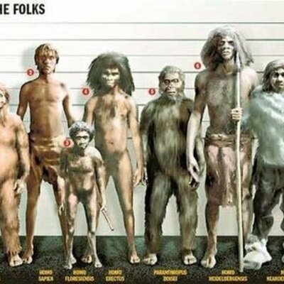 Timeline: Evolución del hombre