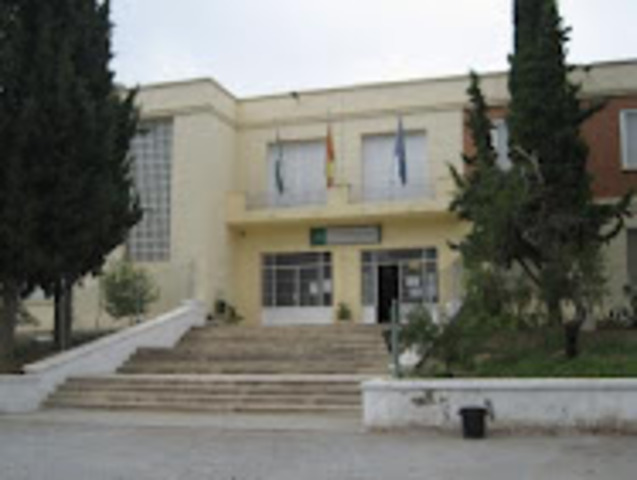 I.E.S VALLE DEL ALMANZORA