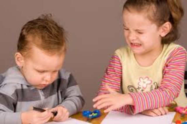 The First Two Years: Psychosocial Event