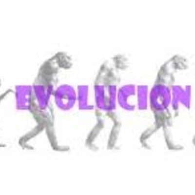 Timeline: el origen del hombre