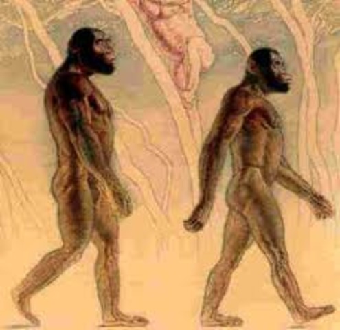 fosiles de origen del hombre
