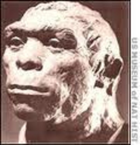 Restos de origen del hombre