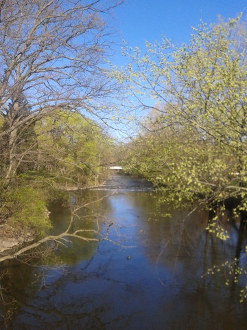 Red Cedar River Picture 11