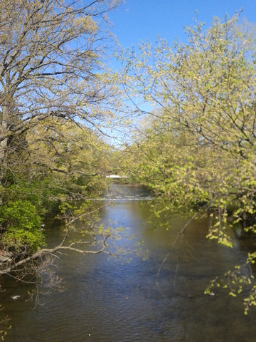 Red Cedar River Picture 15