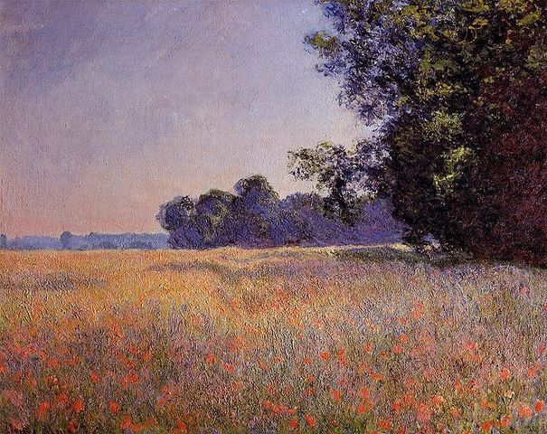 Oat and Poppy field