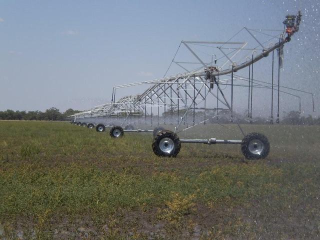 The Chaffey brothers