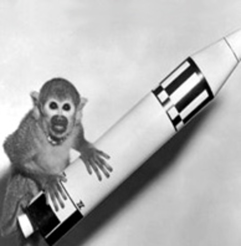 1949 the first animal was sent to space