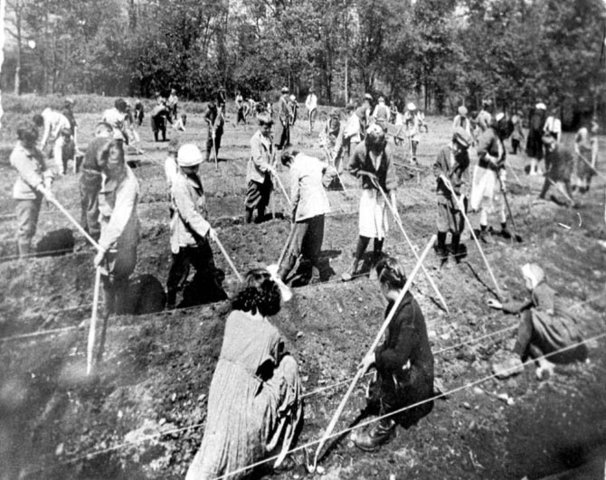 600,000 People Migrate to America