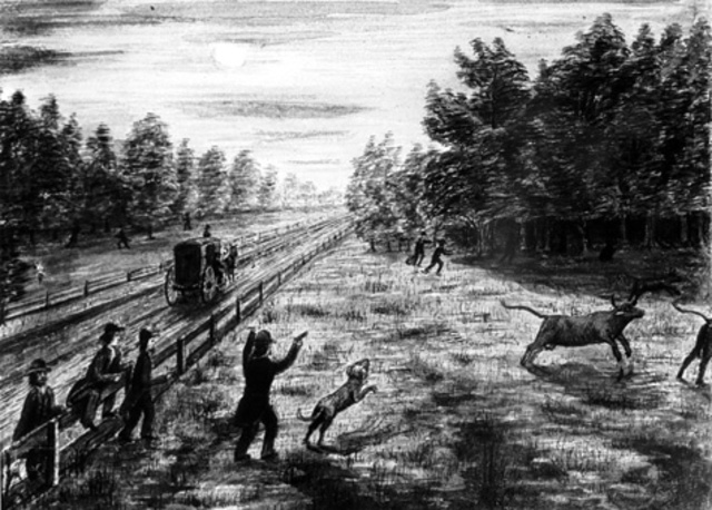 Underground Railroad