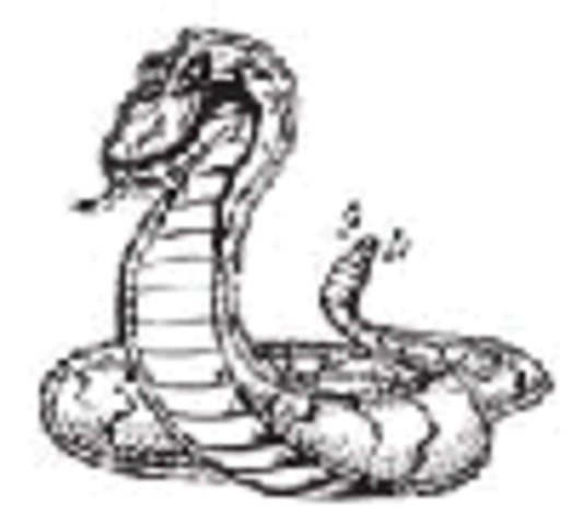 First Day Of Grade 9