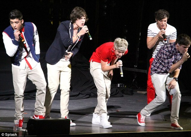 One Direction Concert