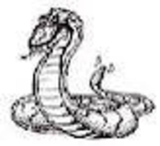 Started Secondary School