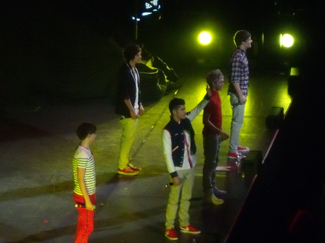 Going to see One Direction in concert!!!