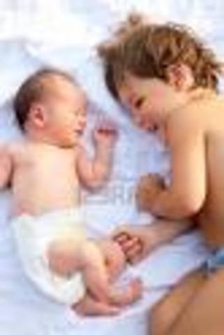 Little Brother is Born