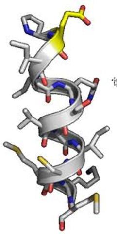 Agentes quimioterapeuticos