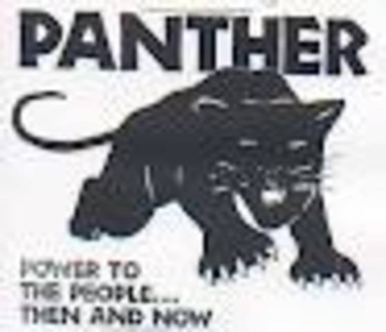 The Black  Panthers