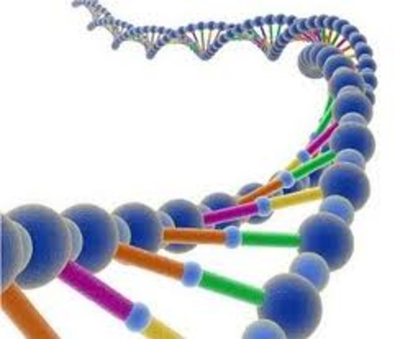 Anticuerpos monoclonales