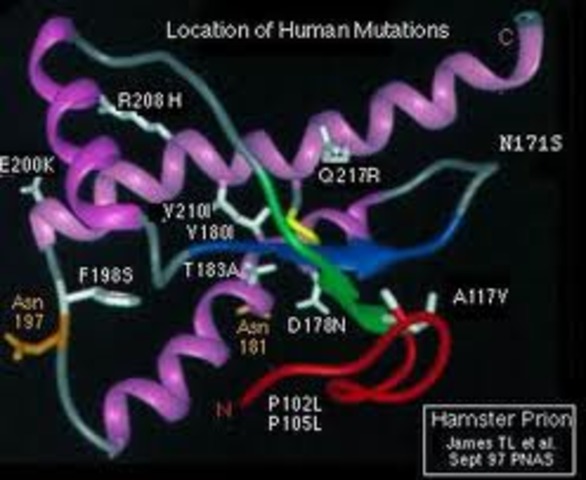 Caracterizacion de los priones
