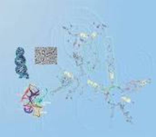 Secuencia completa de un genoma bacteriano