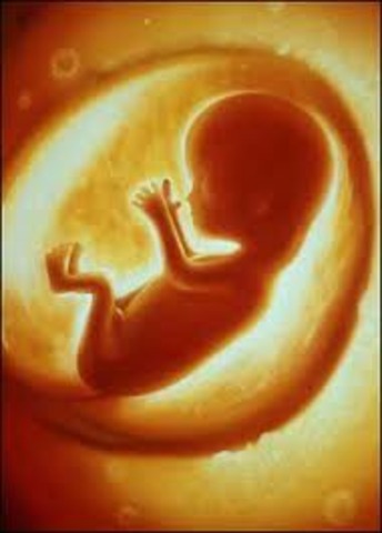 Estimated Conception