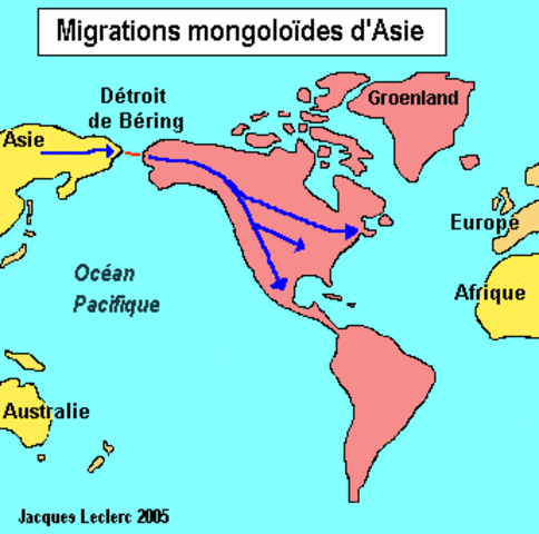 Mouvements Migratoires