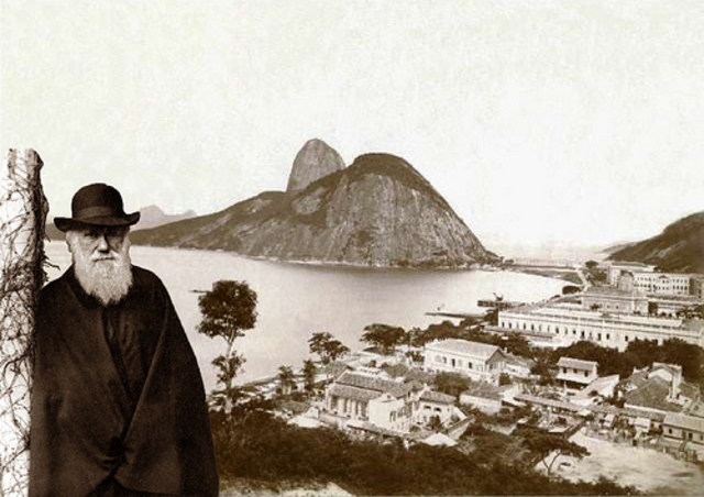 Darwin comes to Rio