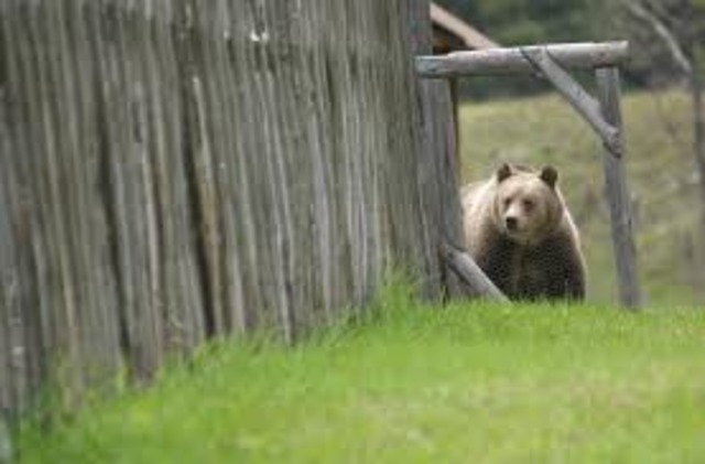 Rare and Endangered Species Act