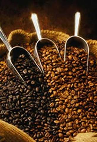 Brazil produces 65% of world's coffee