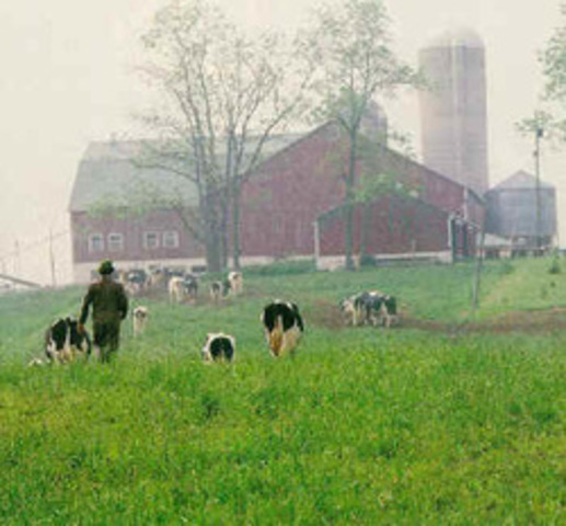 Family Farming in Decline