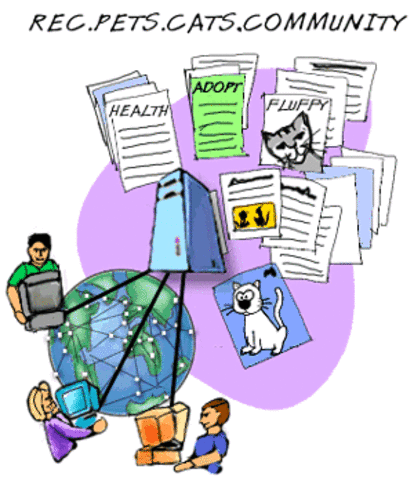 Newsgroups, bulletin boards