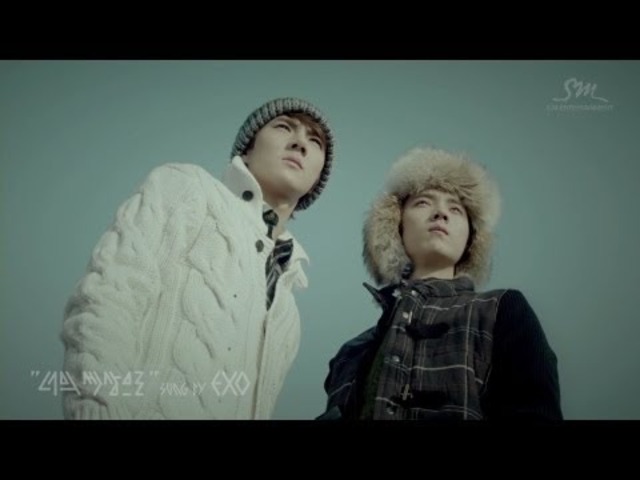 Teaser 9 Members Luhan&Kai