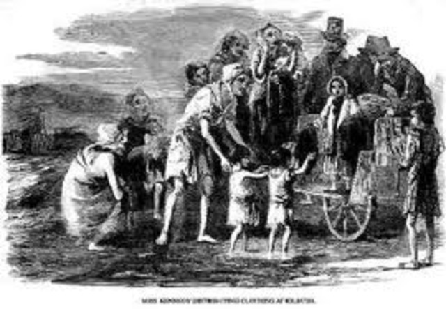 Irish Potato Famine