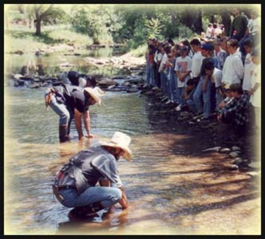 California GOLD RUSH!!!!