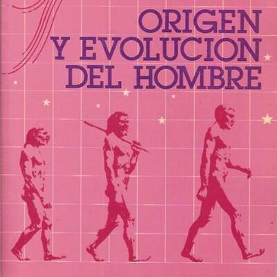 Timeline: Origen y evolucion del hombre