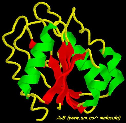 Codificacion Proteica