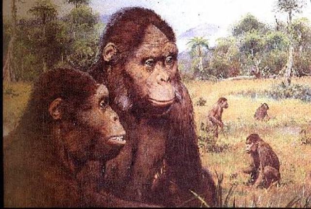 Aparición de los mamíferos